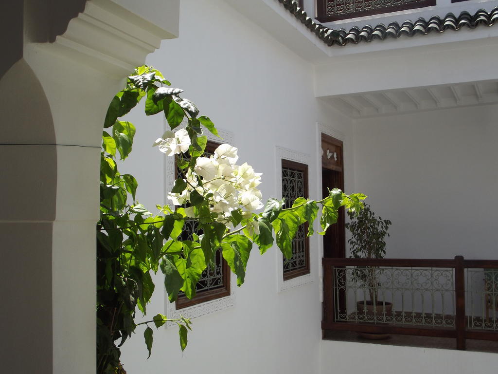 Riad Les Bougainvilliers Марракеш Экстерьер фото
